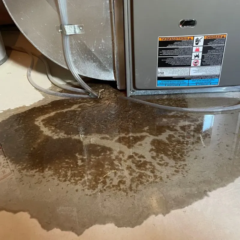 Pipe Burst and Leak Restoration in Odon, IN