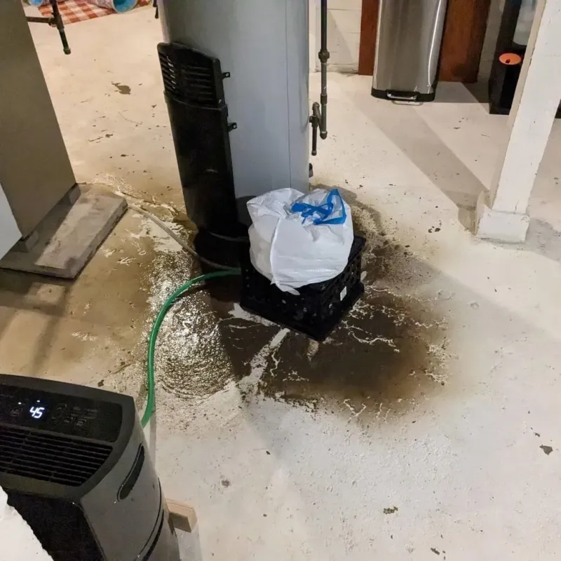 Sewage Backup Cleanup Service in Odon, IN